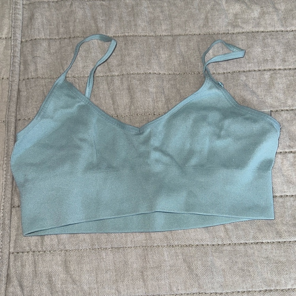 Aritzia Bra